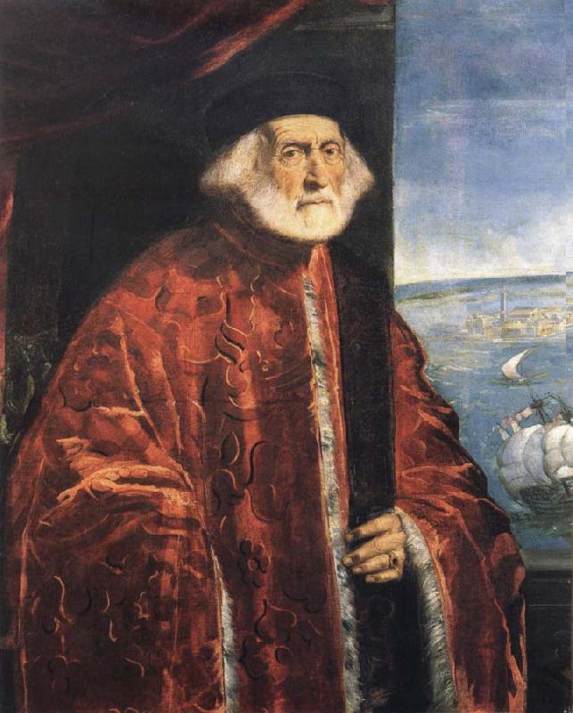 Jacopo Tintoretto Portrait of a Venetian Procurator oil painting picture